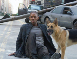 Film I Am Legend akan rilis sekuel!