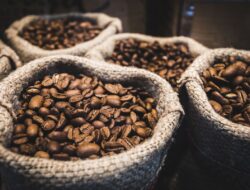 5 Biji Kopi Termahal Di Dunia