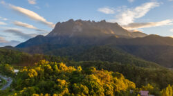 Club Med Borneo Buka Reservasi untuk Destinasi Liburan Tropis yang Sangat Dinantikan di Kota Kinabalu, Malaysia